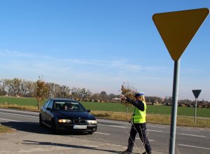 policjantka zatrzymuje pojazd do kontroli