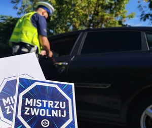 policjant podczas kontroli pojazdu