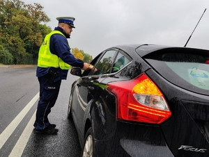 policjant kontroluje pojazdy