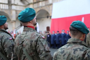 żołnierze ustawieni w szyku