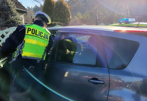 policjant kontroluje pojazd