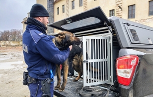 policjant wyprowadza psa z radiowozu
