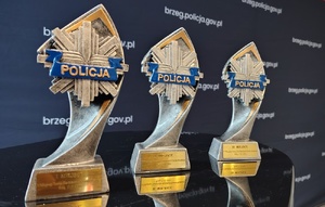 statuetki z napisem policja