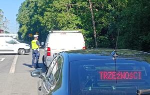 policjant kontroluje pojazdy